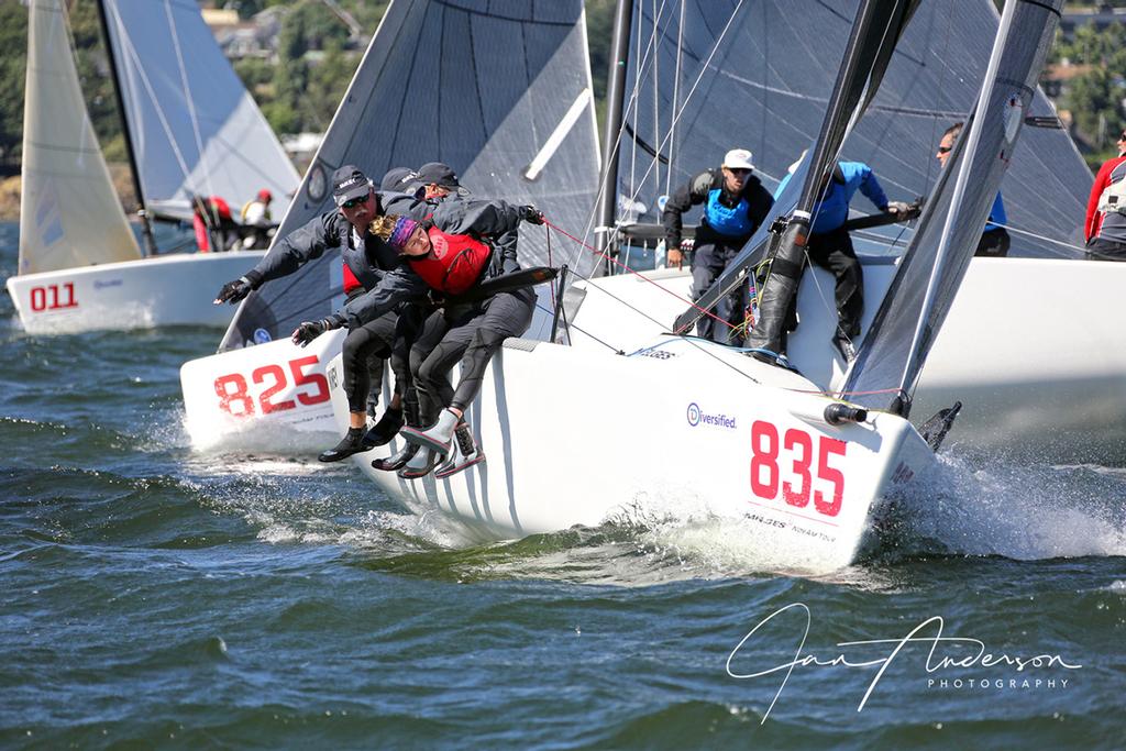 Overall winner, Mikey USA835 ekes out a beat ahead of Warcanoe and Goes to Eleven - 2017 Diversified MELGES24 NorAm Championship ©  Jan Anderson